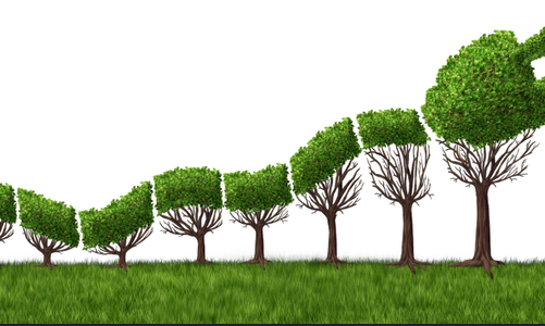 能源勢動：電力行業(yè)的碳中和該如何實現(xiàn)？